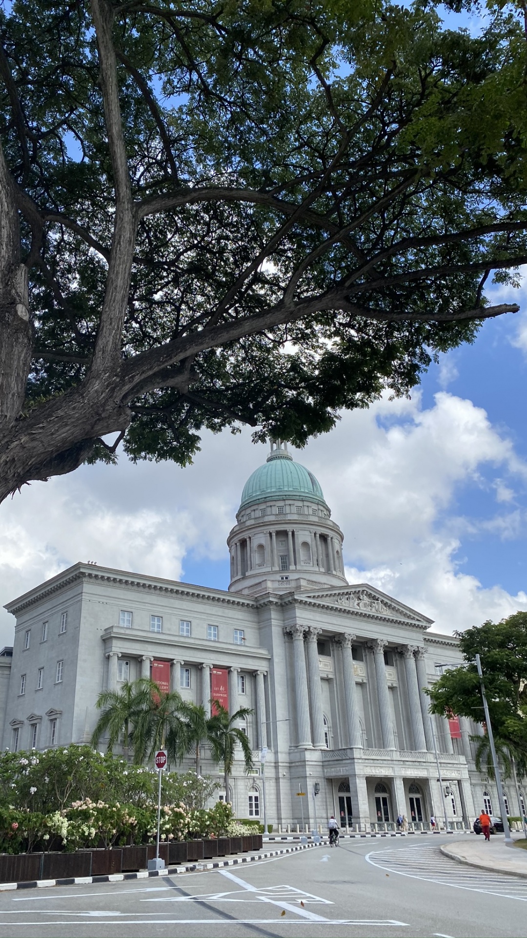 Singapour, Attraction Touristique, Sciences, Biologie, Dôme. Wallpaper in 1080x1920 Resolution