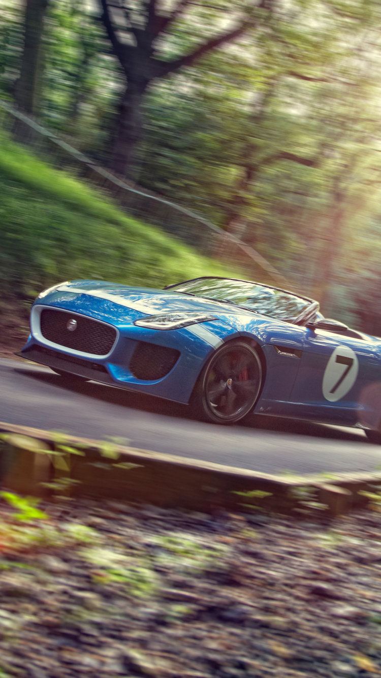 汽车捷豹, 捷豹F-型, 捷豹, 捷豹XJR跑车, 2013捷豹XF 壁纸 750x1334 允许