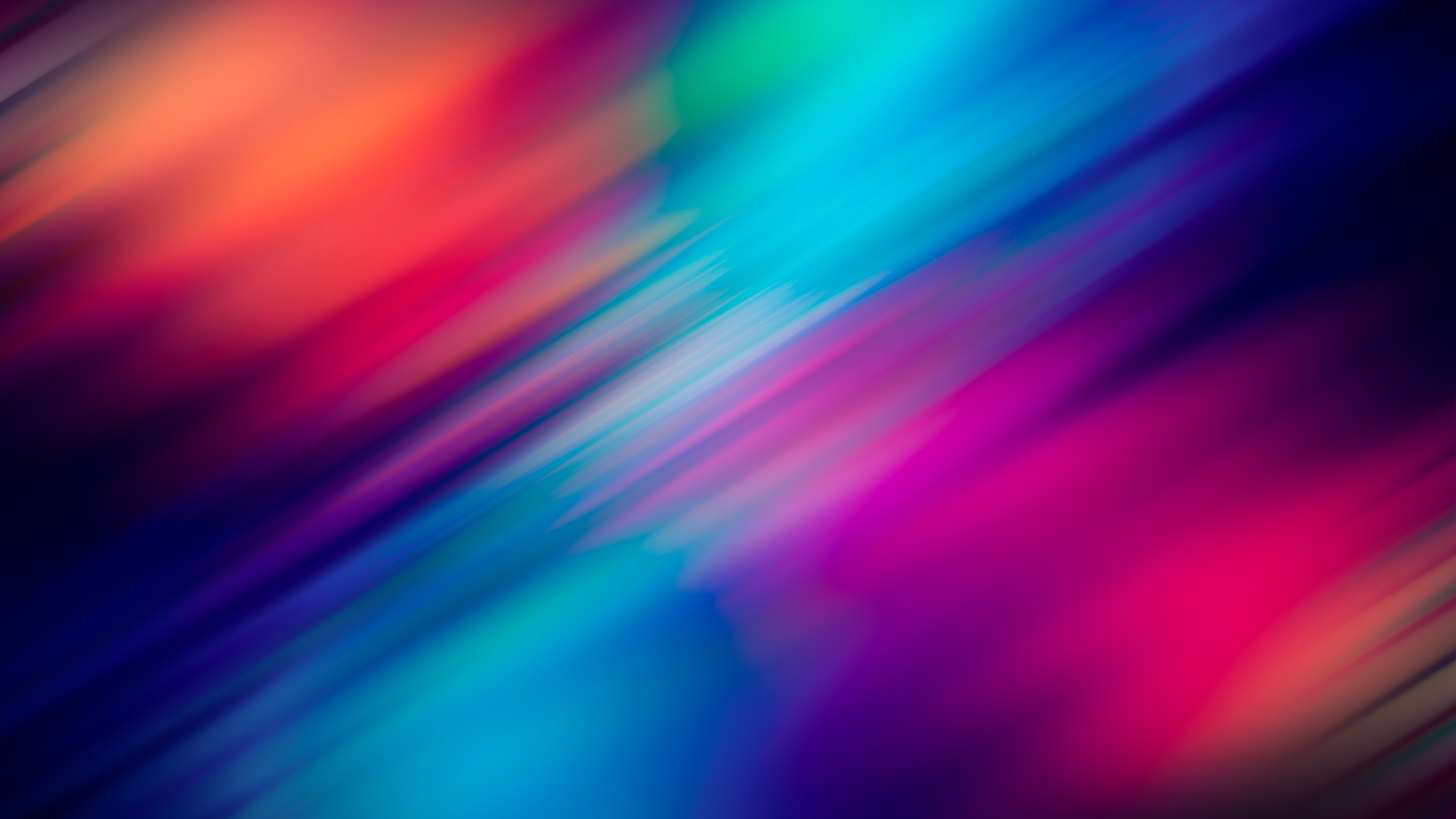 Rose Bleu et Jaune Clair. Wallpaper in 2560x1440 Resolution