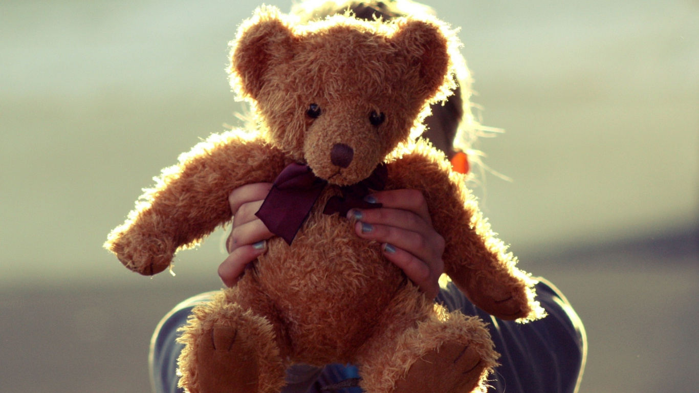 Brown Bear Plush Toy Wearing Blue and White Scarf. Wallpaper in 1366x768 Resolution