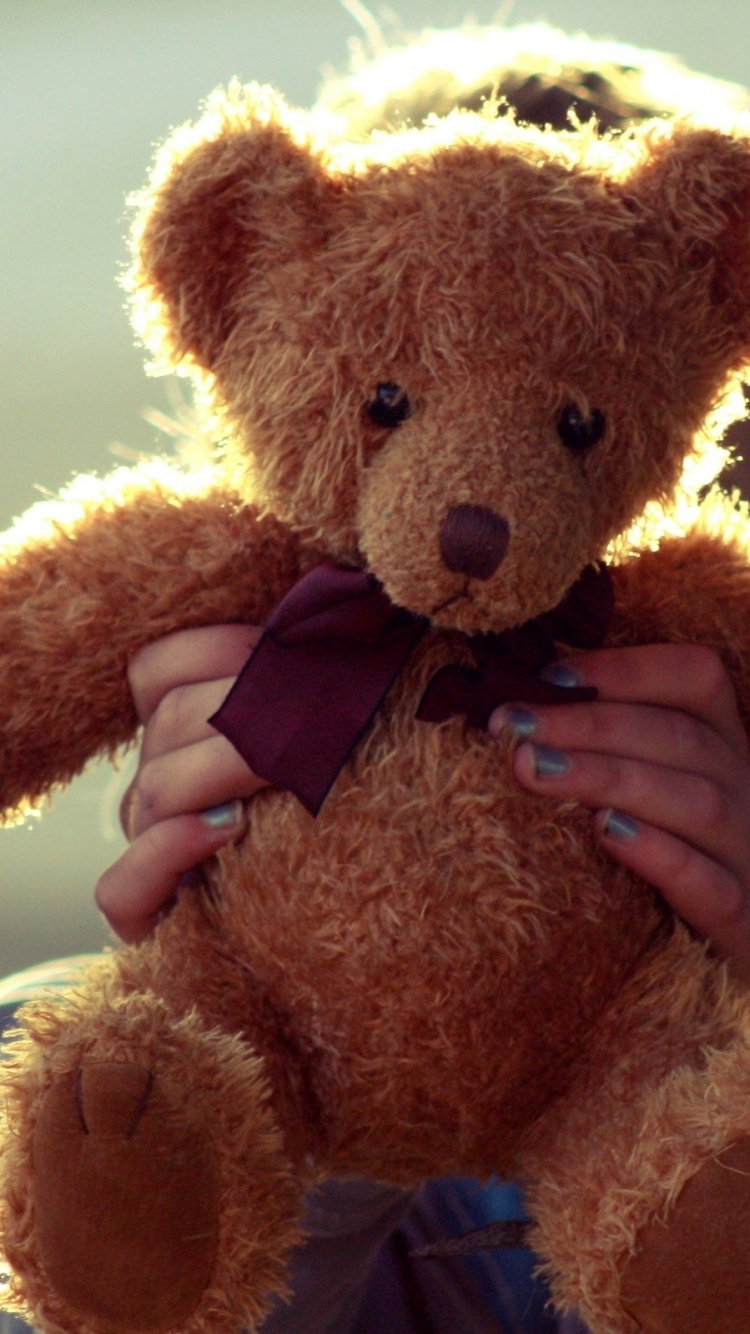 Brown Bear Plush Toy Wearing Blue and White Scarf. Wallpaper in 750x1334 Resolution