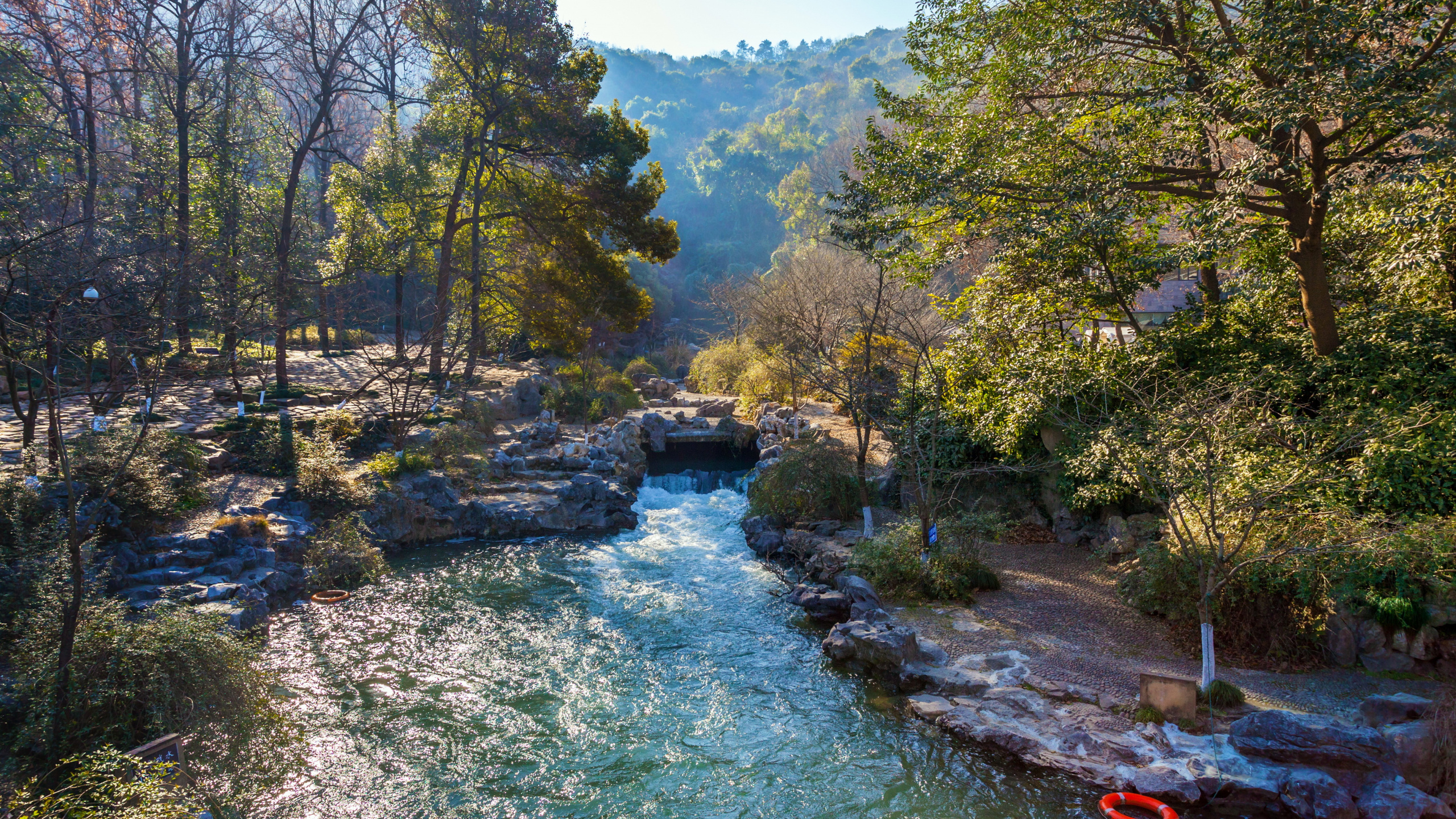 性质, 水道, 荒野, 流, 工厂 壁纸 2560x1440 允许