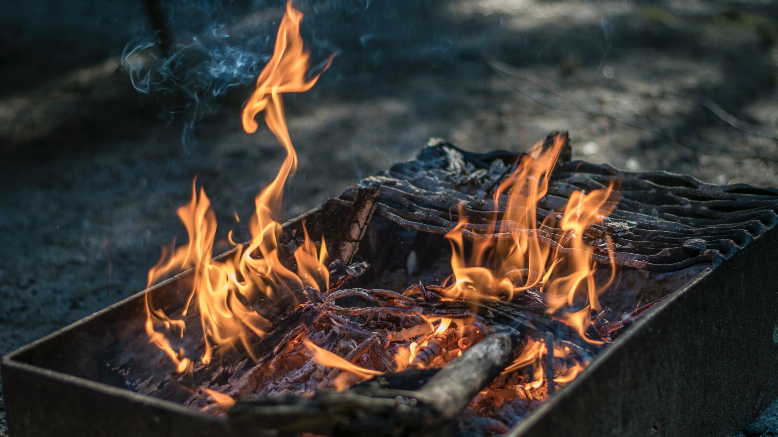 Burning Wood on Fire Pit. Wallpaper in 2560x1440 Resolution
