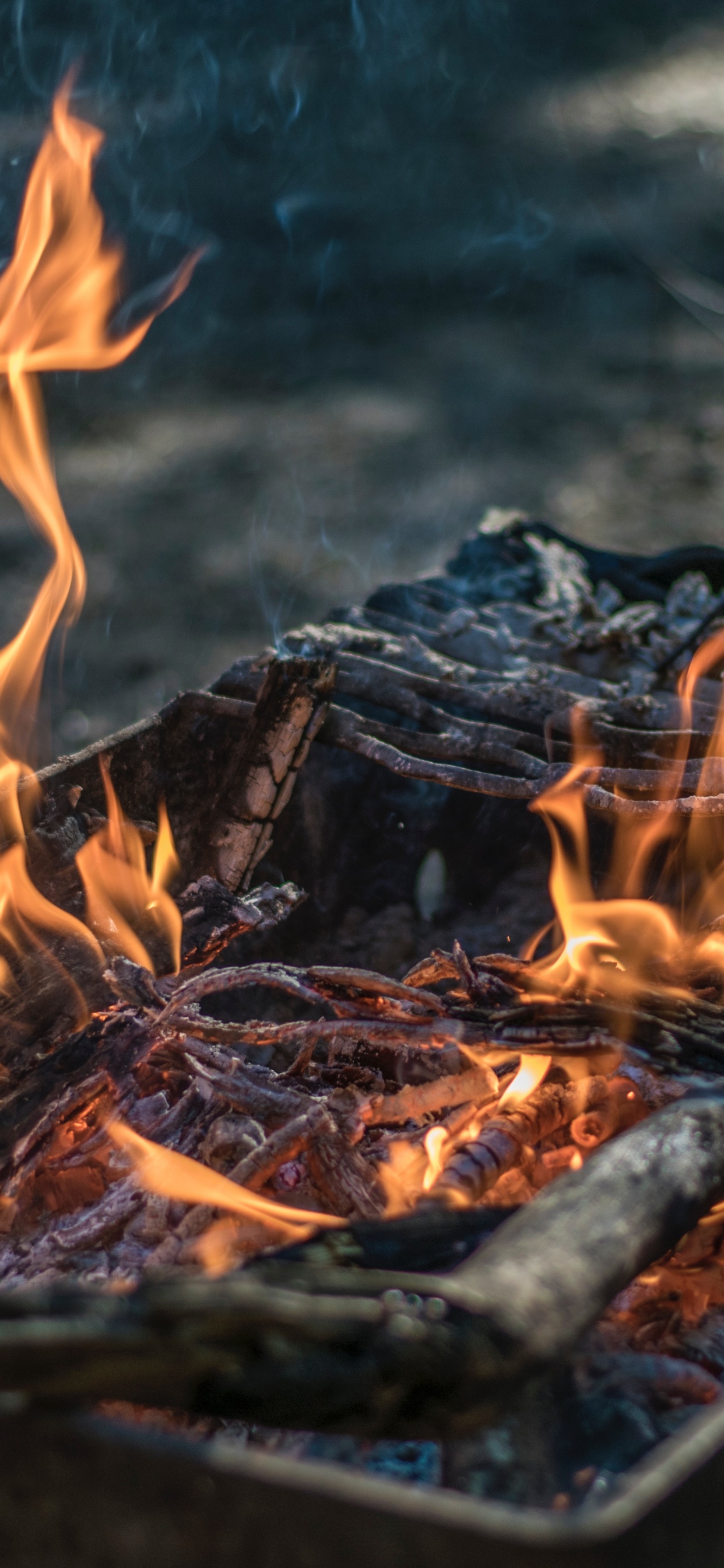 火焰, 热, 篝火, 灰, 烧烤 壁纸 1242x2688 允许