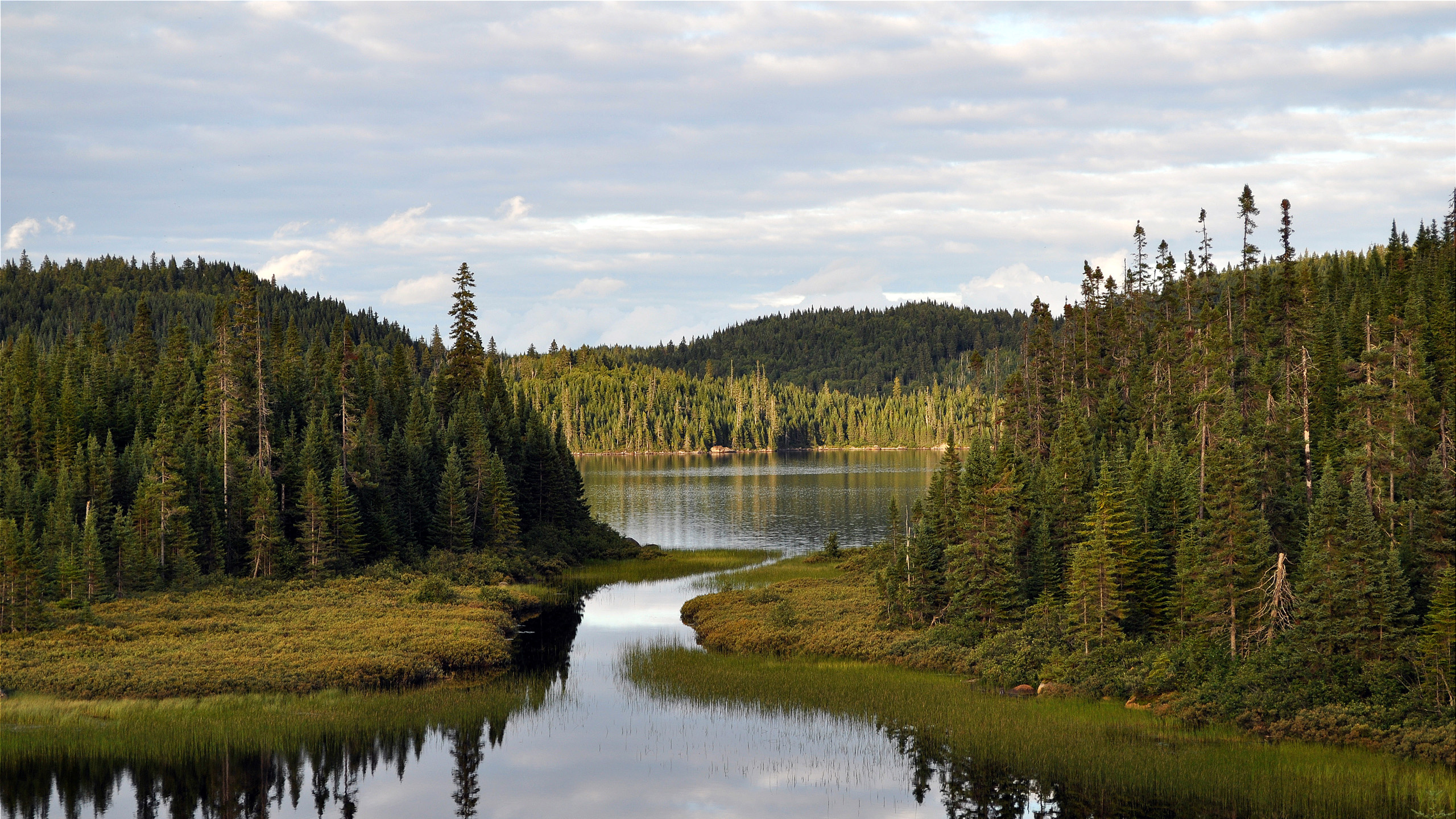 Green Trees Beside Lake Under White Clouds and Blue Sky During Daytime. Wallpaper in 2560x1440 Resolution