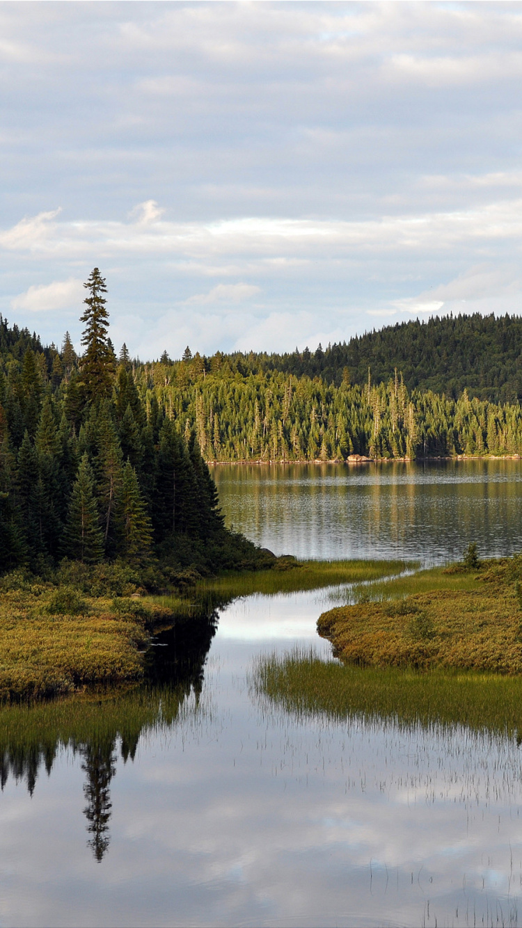 Green Trees Beside Lake Under White Clouds and Blue Sky During Daytime. Wallpaper in 750x1334 Resolution