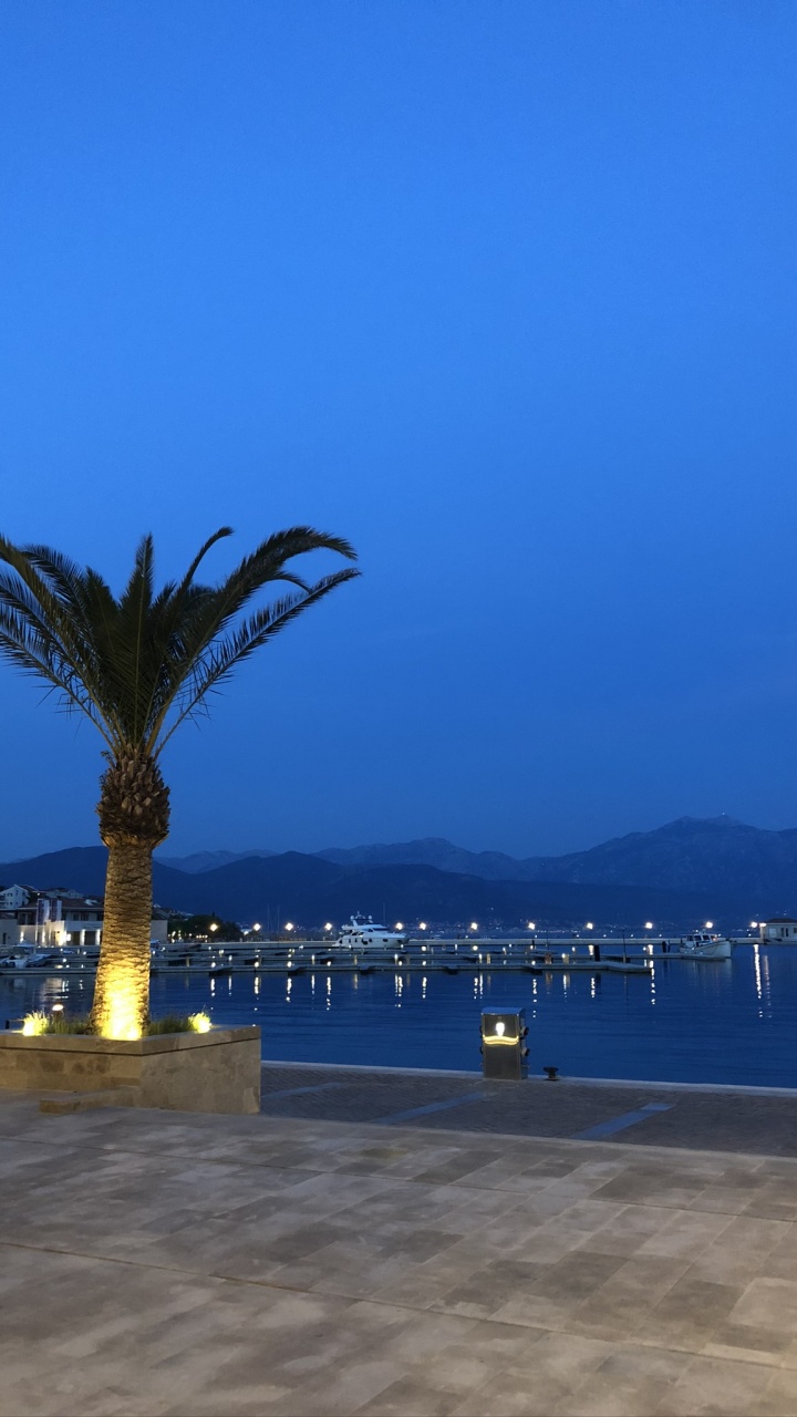 Palme, Wasser, Tourismus, Horizont, Azure. Wallpaper in 720x1280 Resolution