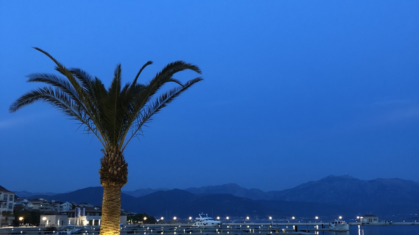 Palmier, Eau, Tourisme, Horizon, Azure. Wallpaper in 1366x768 Resolution