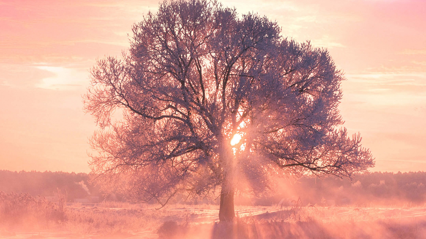 Romanticismo, Agua, Barco, Moto de Agua, Afterglow. Wallpaper in 1366x768 Resolution