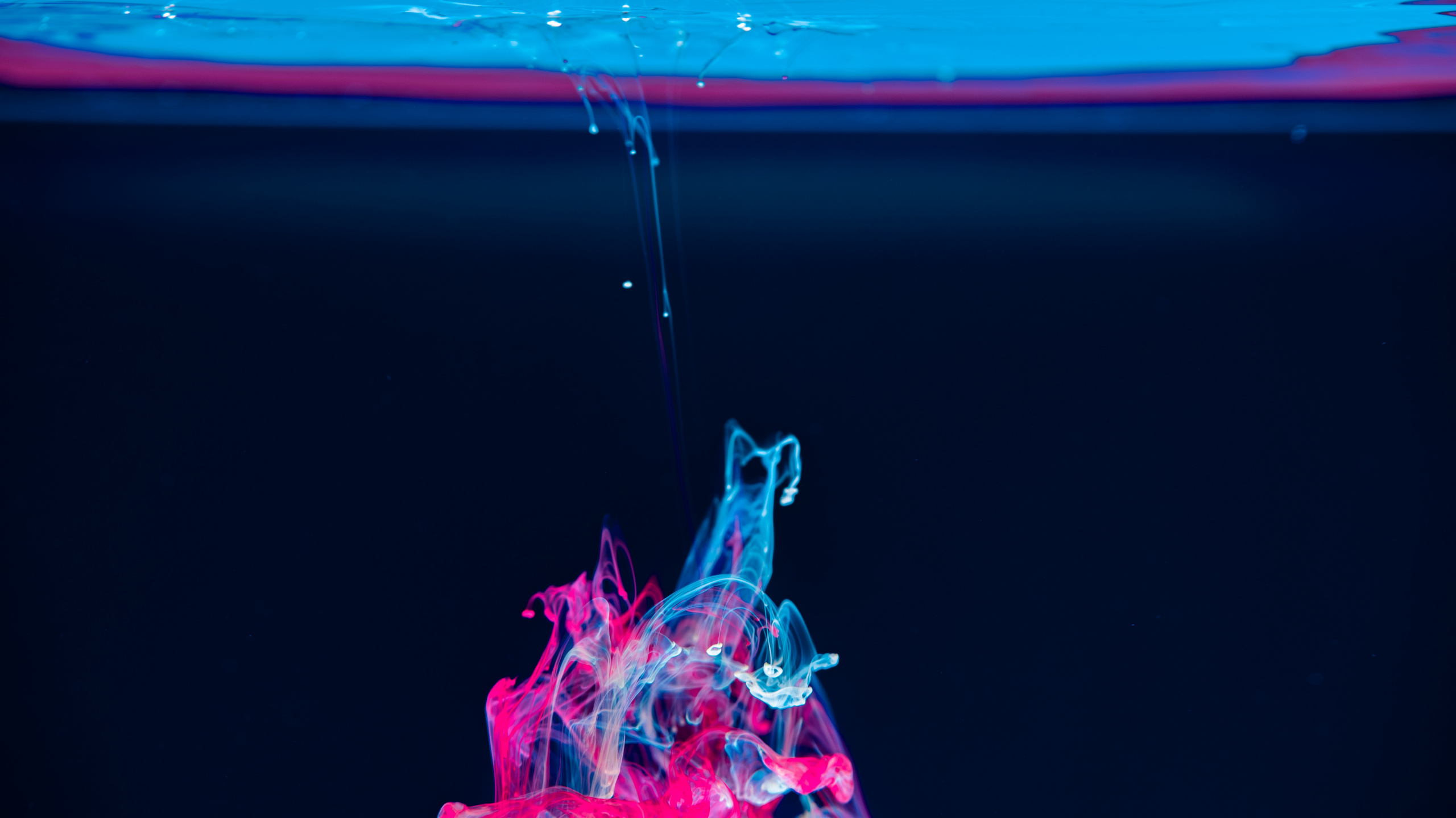 下载 2560x1440 壁纸 粉红色, 液体, 流体, 品红色, 图形设计 粉红色, 液体, 流体, 品红色, 图形设计 壁纸 2560x1440 允许