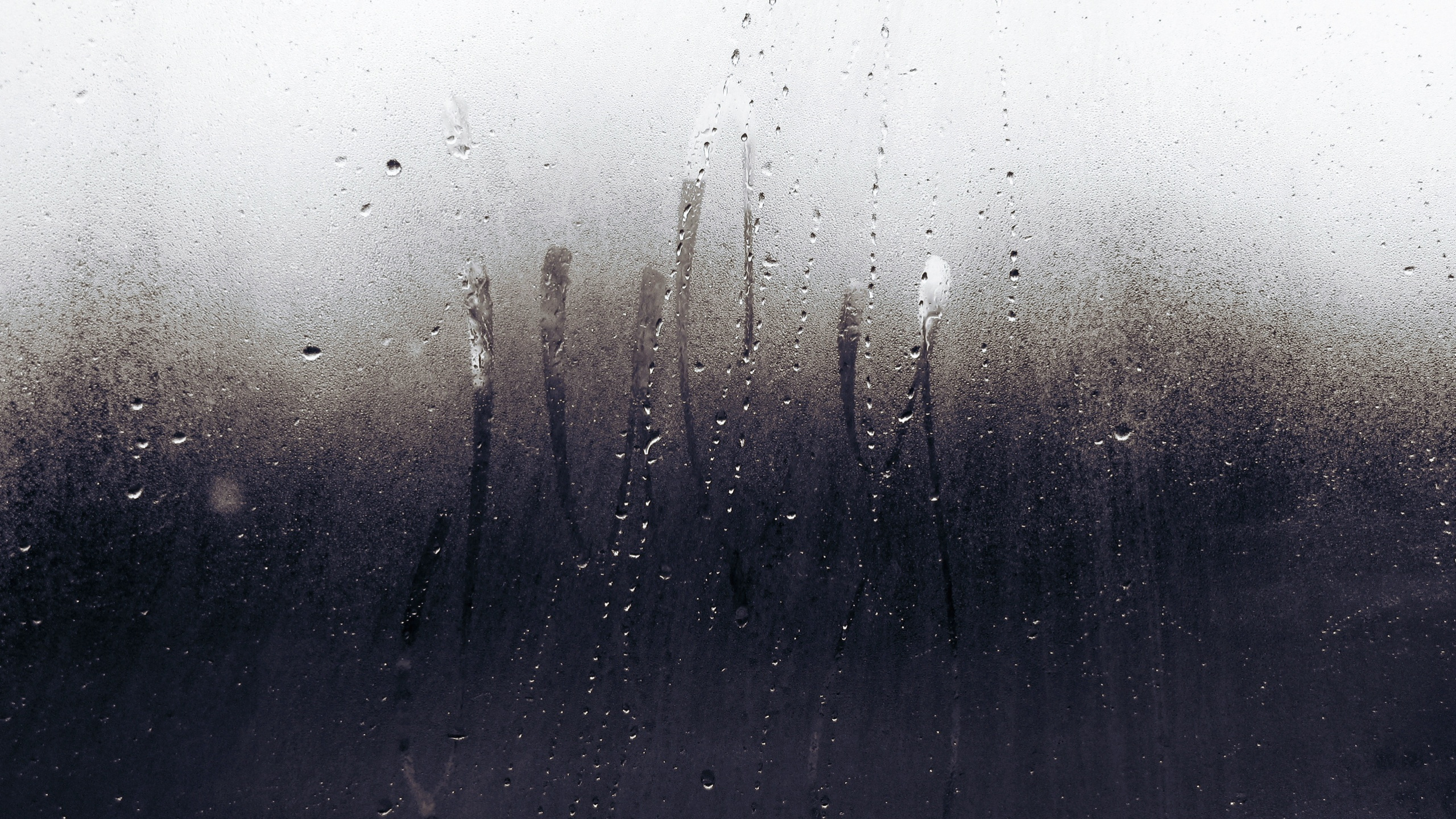 Water Droplets on Glass Panel. Wallpaper in 2560x1440 Resolution