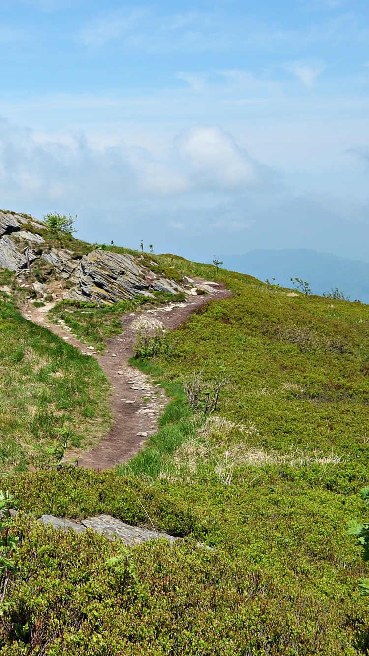 Campo de Hierba Verde Bajo un Cielo Azul Durante el Día. Wallpaper in 750x1334 Resolution