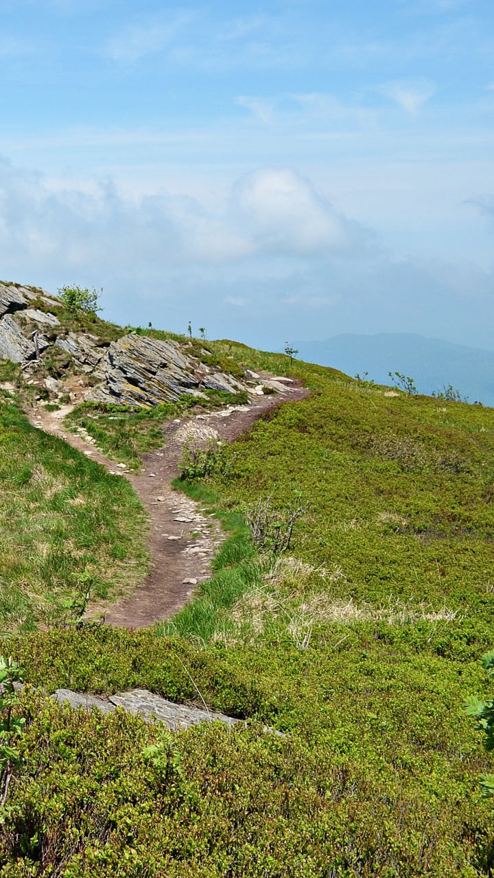 Champ D'herbe Verte Sous Ciel Bleu Pendant la Journée. Wallpaper in 720x1280 Resolution