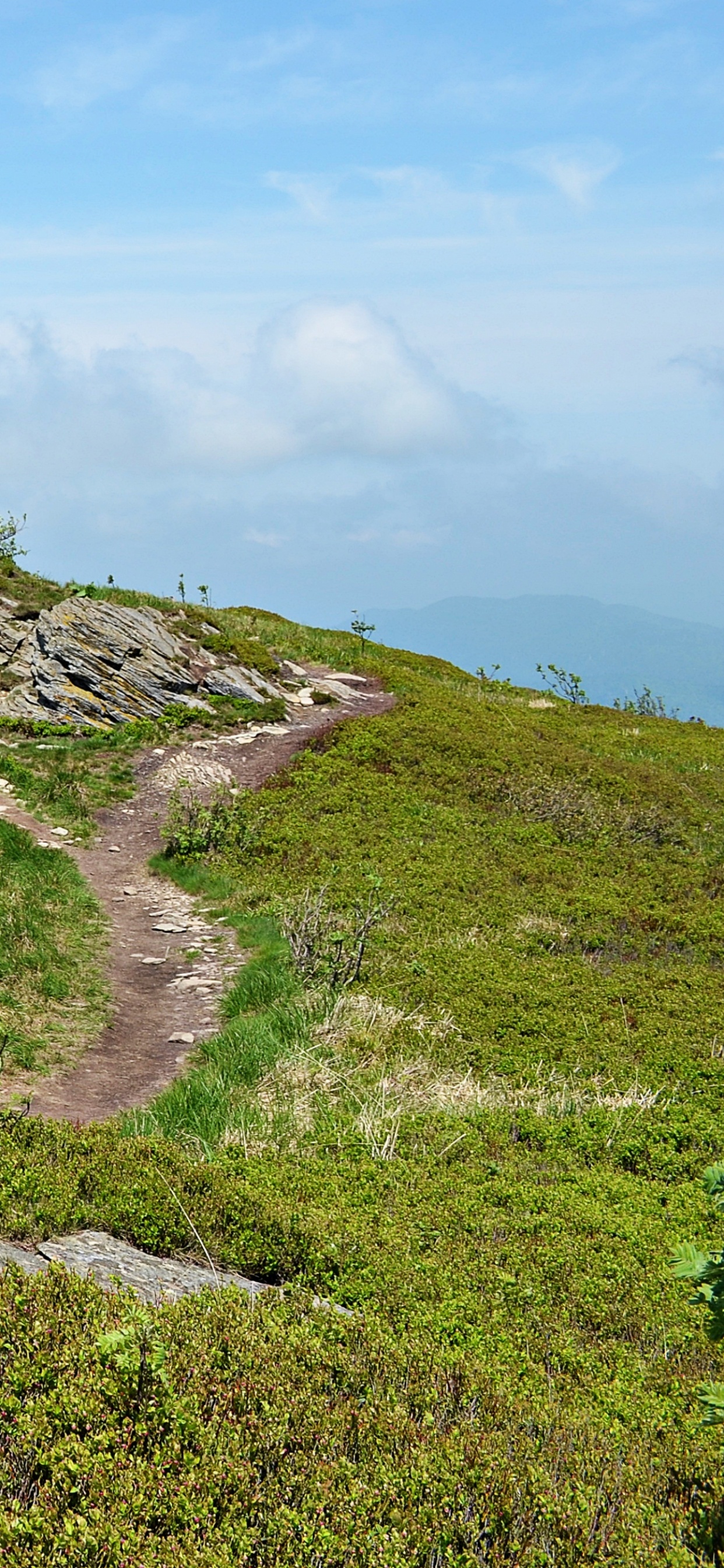 Green Grass Field Under Blue Sky During Daytime. Wallpaper in 1242x2688 Resolution