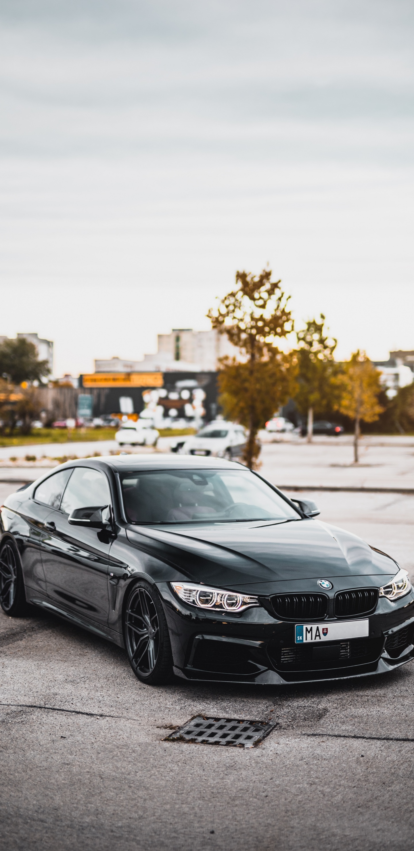 Mercedes Benz Coupé Noir Sur Route Pendant la Journée. Wallpaper in 1440x2960 Resolution