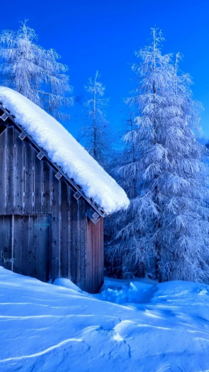 Braunes Holzhaus in Der Nähe Von Schneebedeckten Kiefern Unter Blauem Himmel Tagsüber. Wallpaper in 720x1280 Resolution