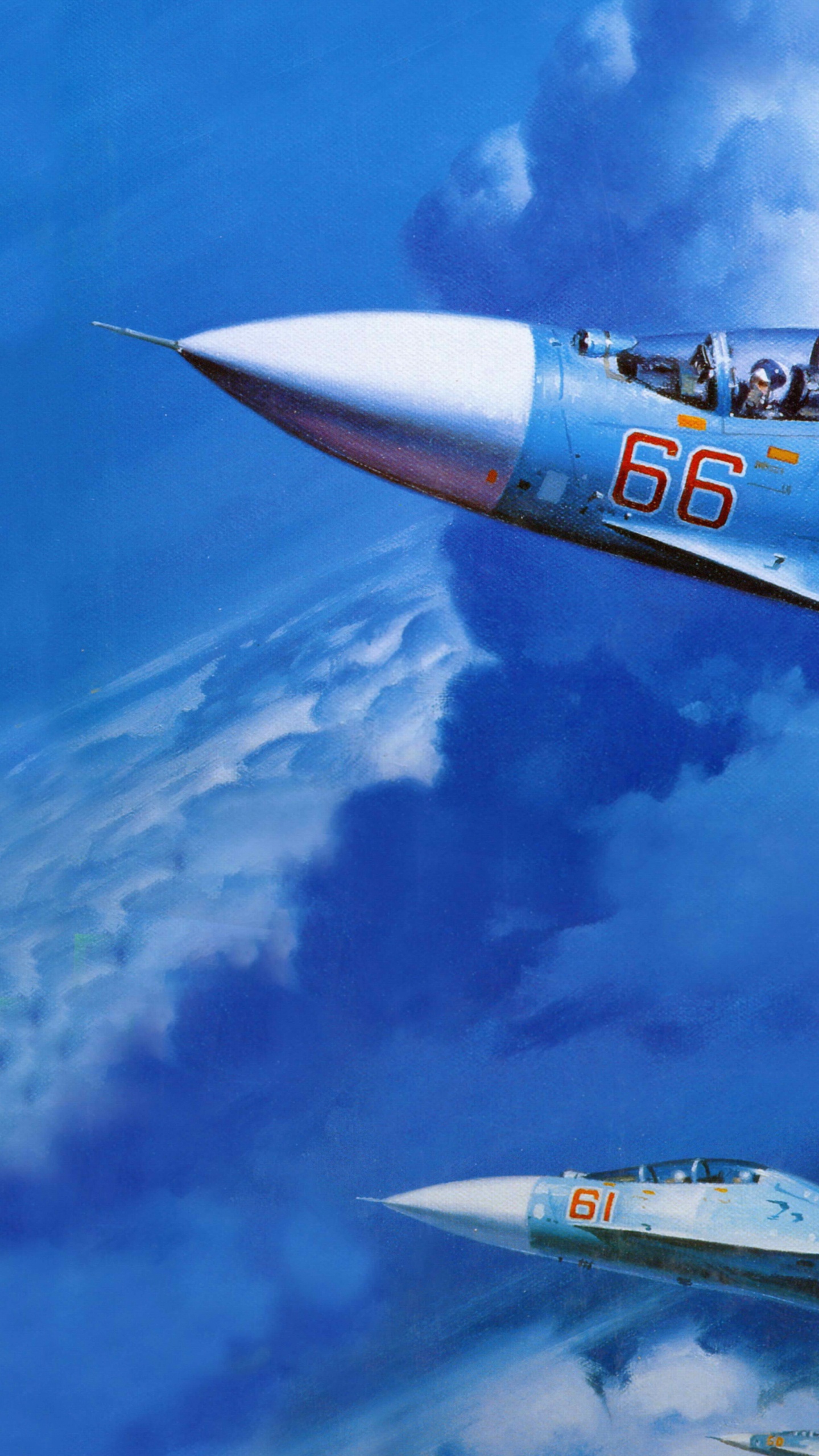 Avión a Reacción Blanco y Azul Bajo un Cielo Azul Durante el Día. Wallpaper in 1440x2560 Resolution