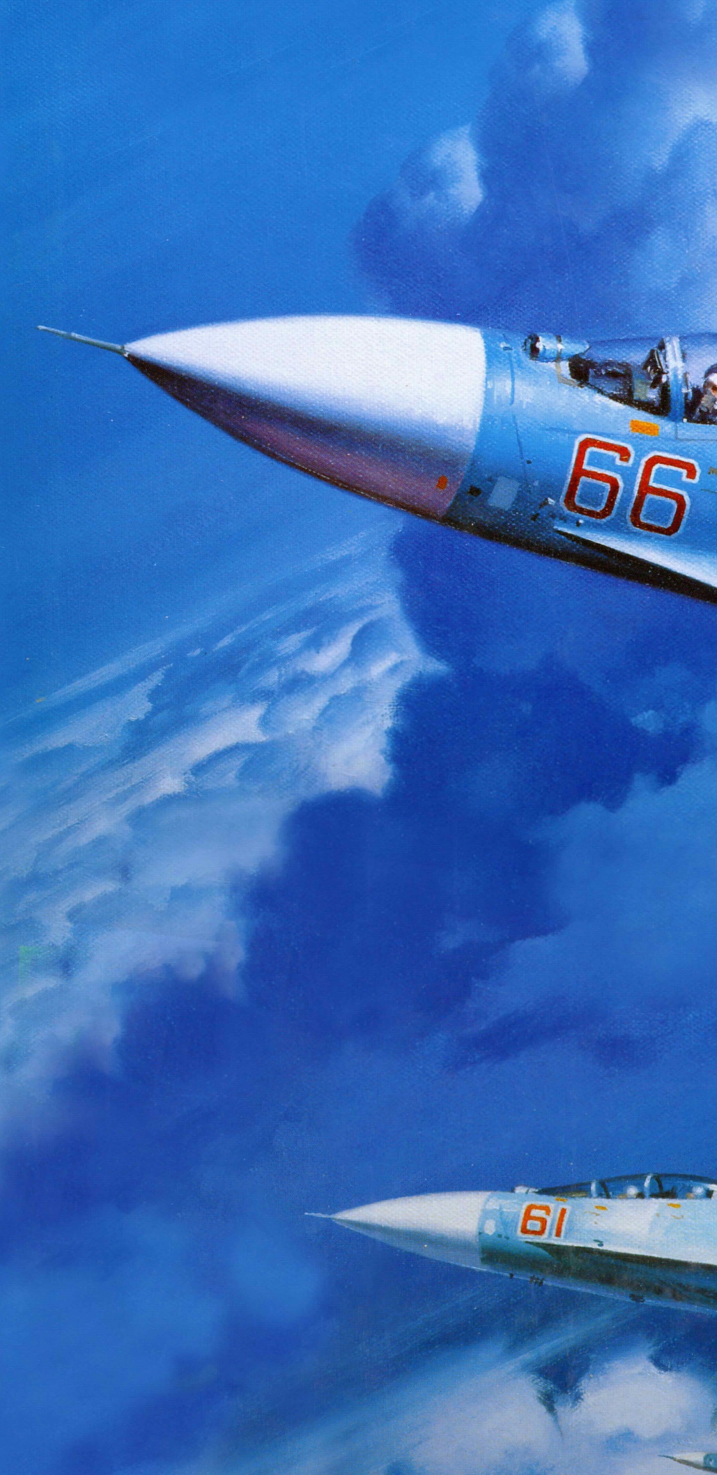 Weißes Und Blaues Düsenflugzeug Unter Blauem Himmel Tagsüber. Wallpaper in 1440x2960 Resolution