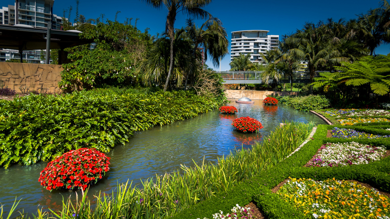 Red Flowers Near Body of Water During Daytime. Wallpaper in 1280x720 Resolution