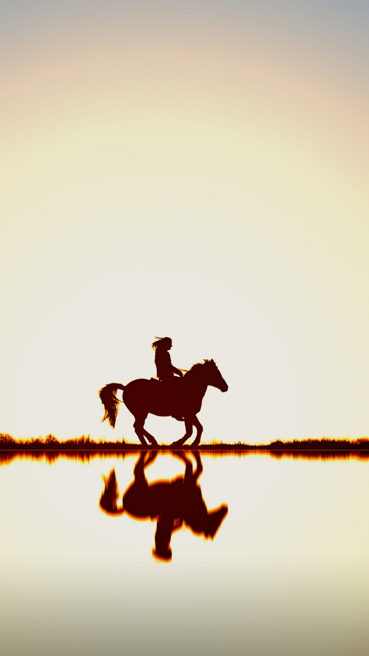 Gouttelettes D'eau Sur Corde Brune Pendant la Journée. Wallpaper in 750x1334 Resolution