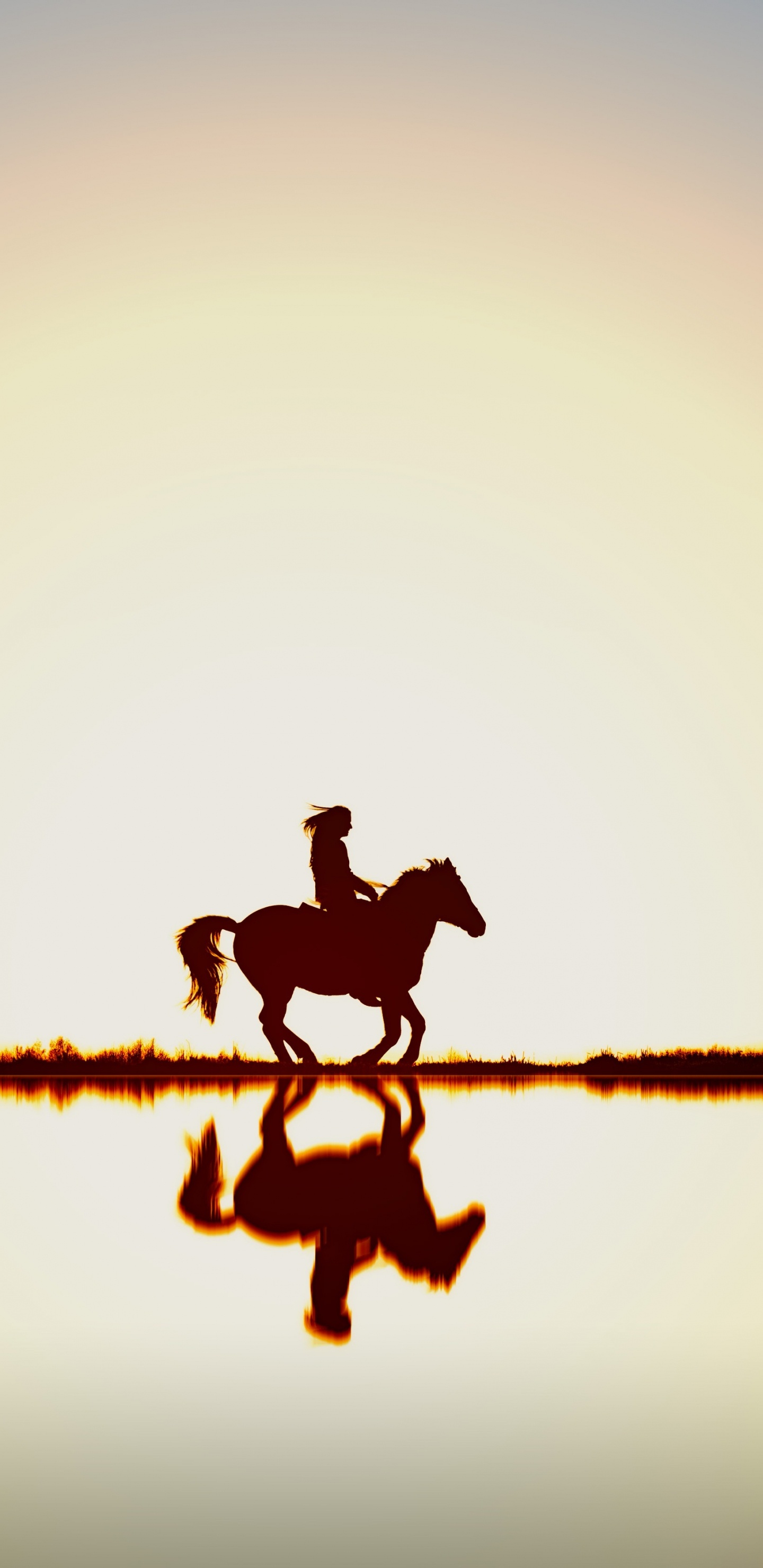 Gotas de Agua Sobre Una Cuerda Marrón Durante el Día.. Wallpaper in 1440x2960 Resolution