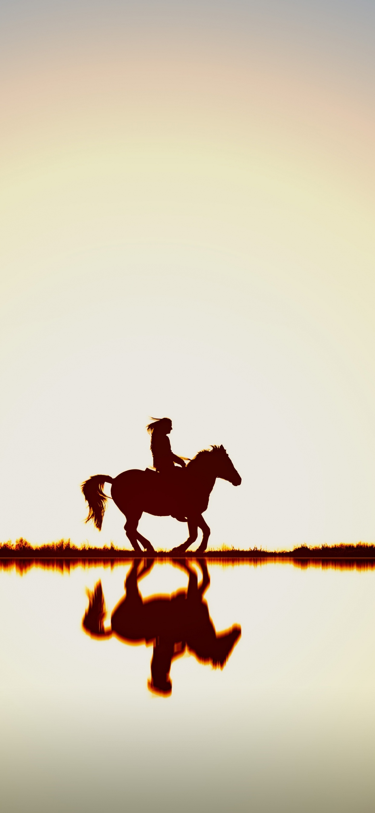 Water Droplets on Brown Rope During Daytime. Wallpaper in 1242x2688 Resolution