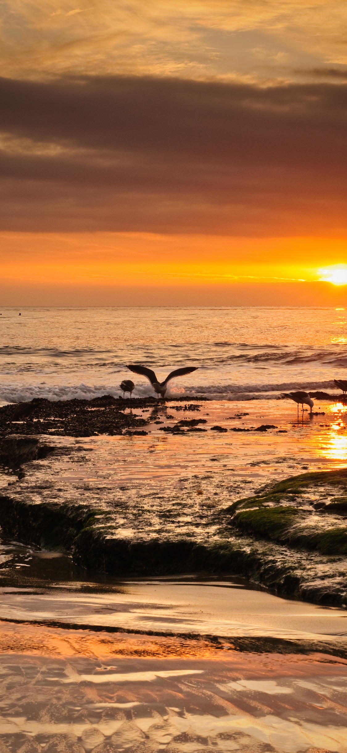 Orilla, Costa, Naturaleza, Puesta, Cuerpo de Agua. Wallpaper in 1125x2436 Resolution