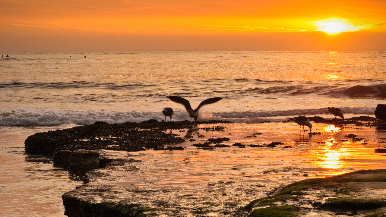 Shore, Sky, Coast, Wave, Nature. Wallpaper in 1280x720 Resolution