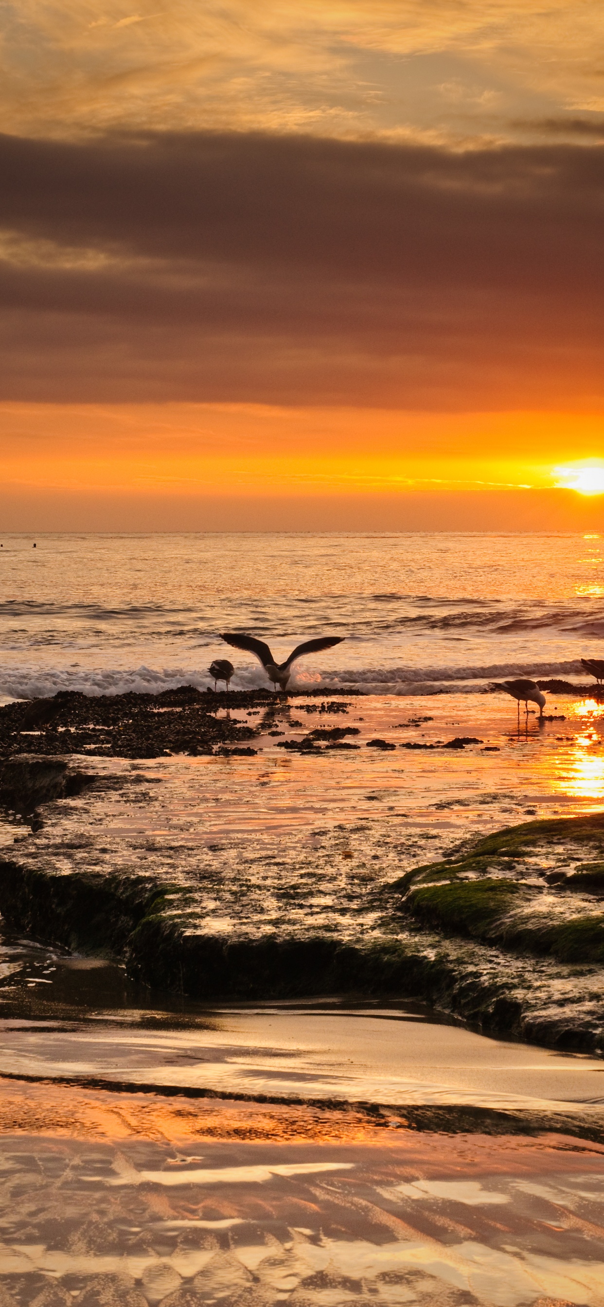 Ufer, Himmel, Küste, Welle, Natur. Wallpaper in 1242x2688 Resolution