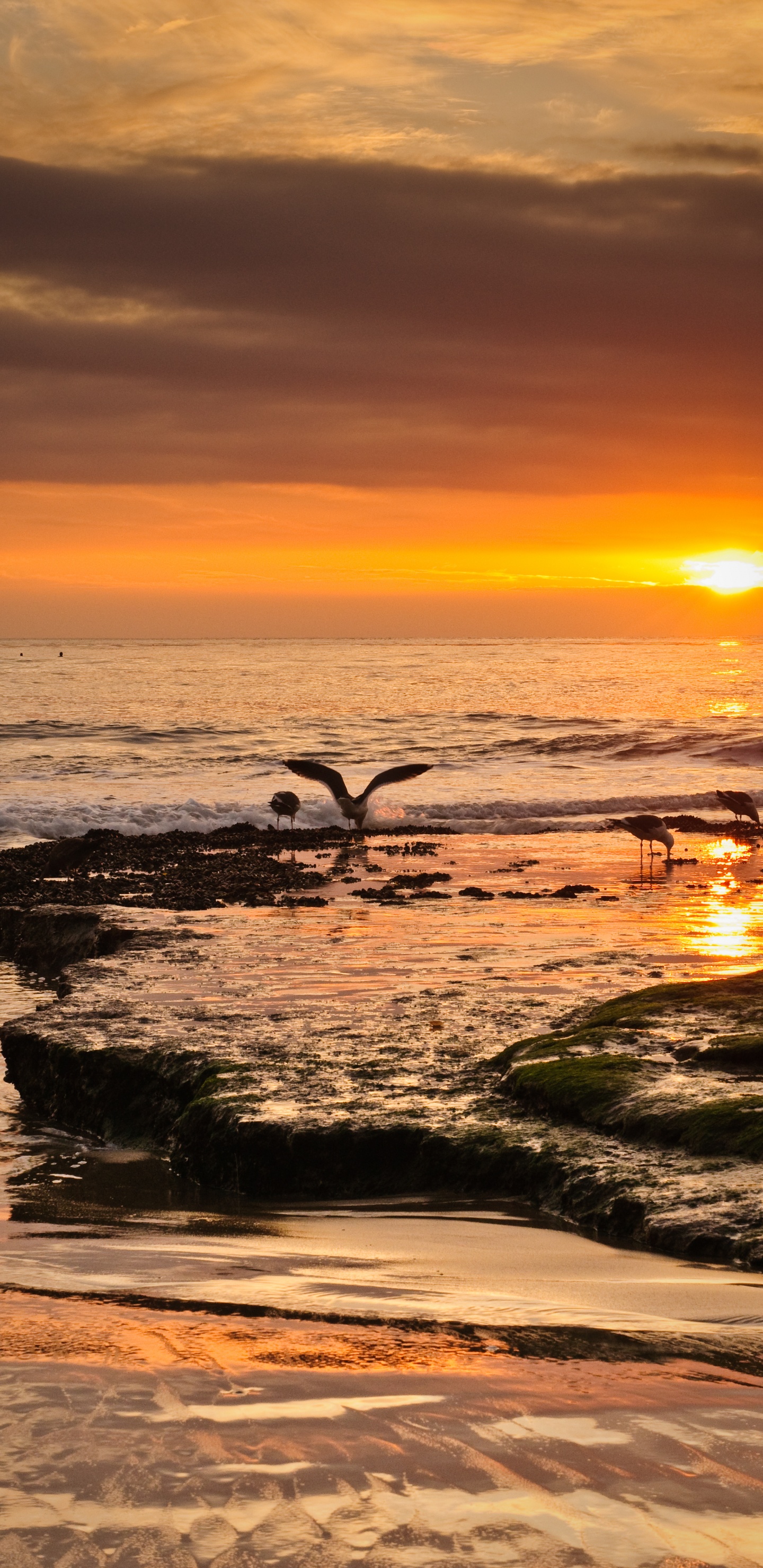 Ufer, Himmel, Küste, Welle, Natur. Wallpaper in 1440x2960 Resolution