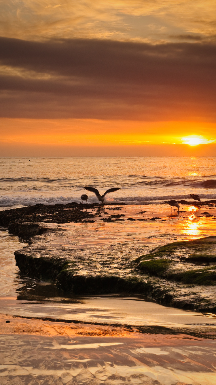 Ufer, Himmel, Küste, Welle, Natur. Wallpaper in 750x1334 Resolution
