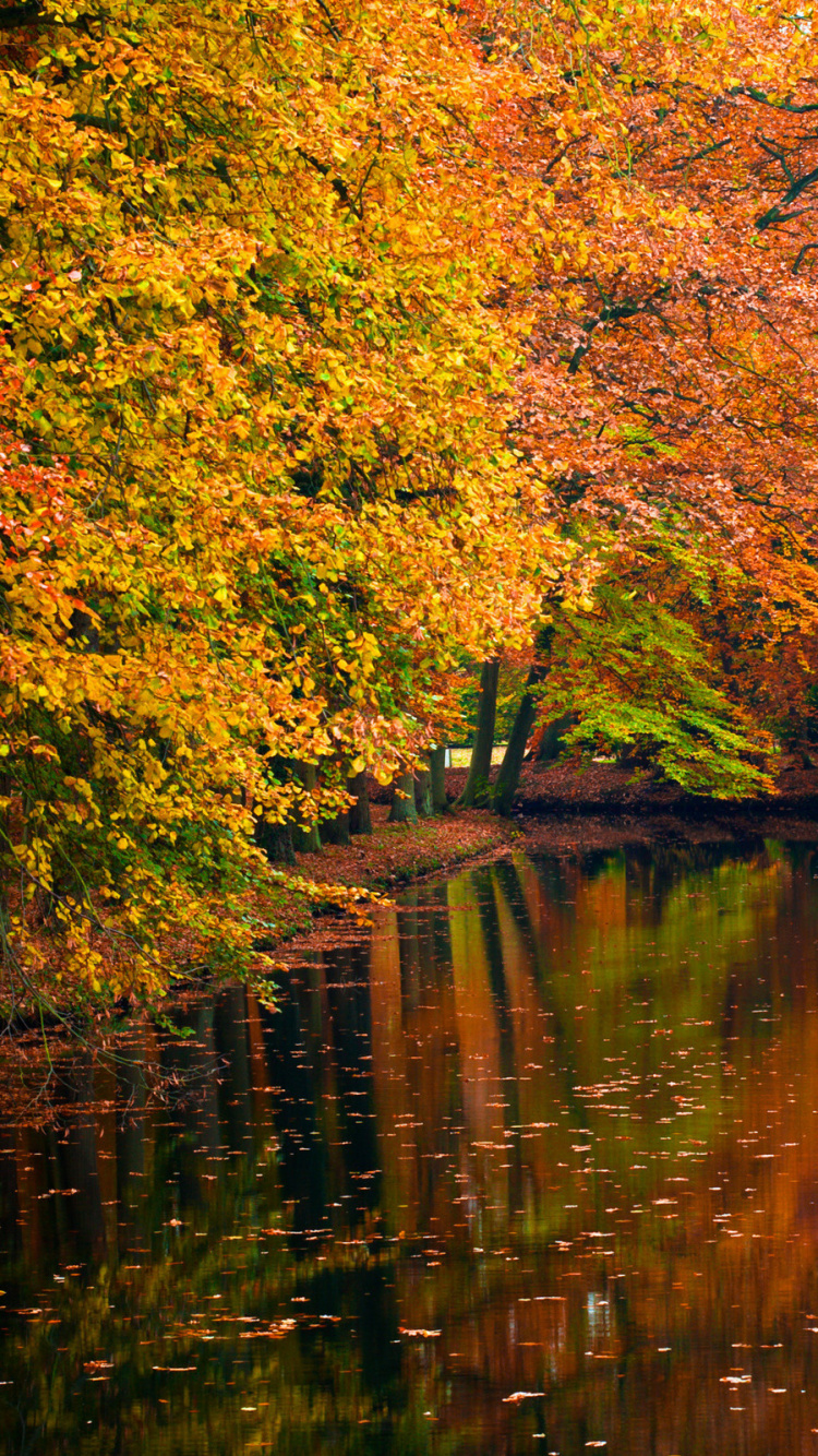 Barco Verde Sobre el Río Rodeado de Árboles Durante el Día. Wallpaper in 750x1334 Resolution