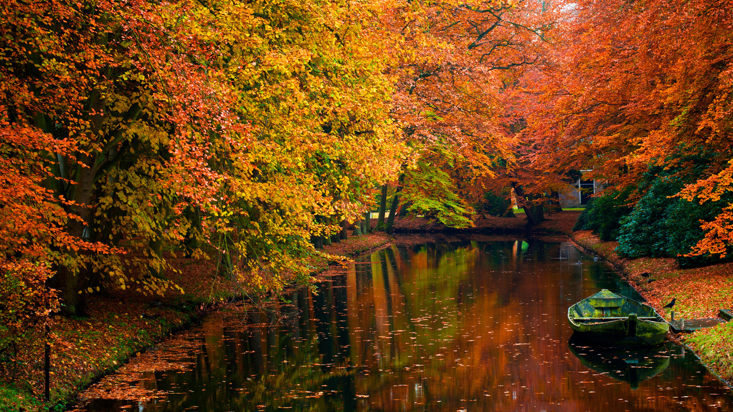 Green Boat on River Surrounded by Trees During Daytime. Wallpaper in 2560x1440 Resolution