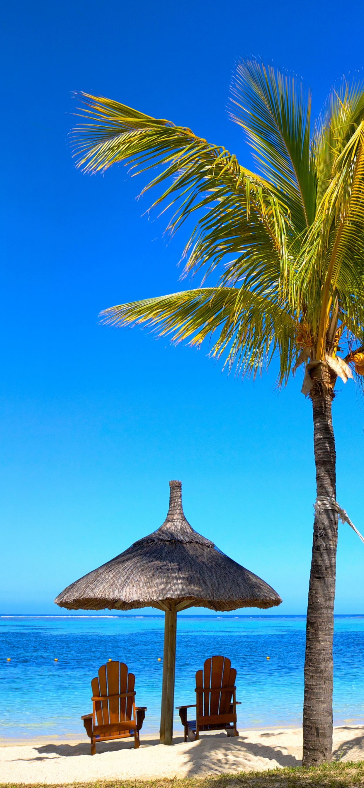 Chaise Longue de Plage en Bois Marron Sur la Plage Pendant la Journée. Wallpaper in 1242x2688 Resolution