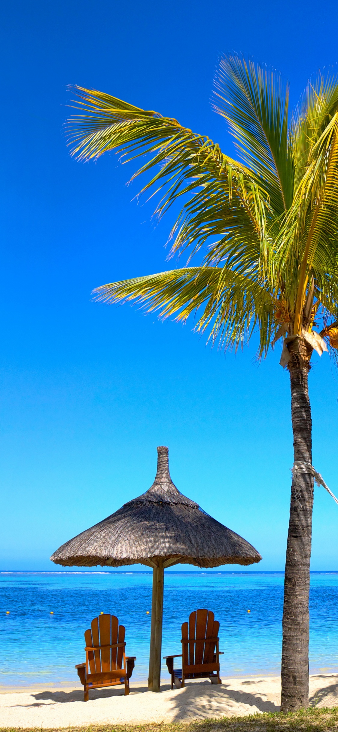 Brauner Holzliegestuhl am Strand Tagsüber Beach. Wallpaper in 1125x2436 Resolution