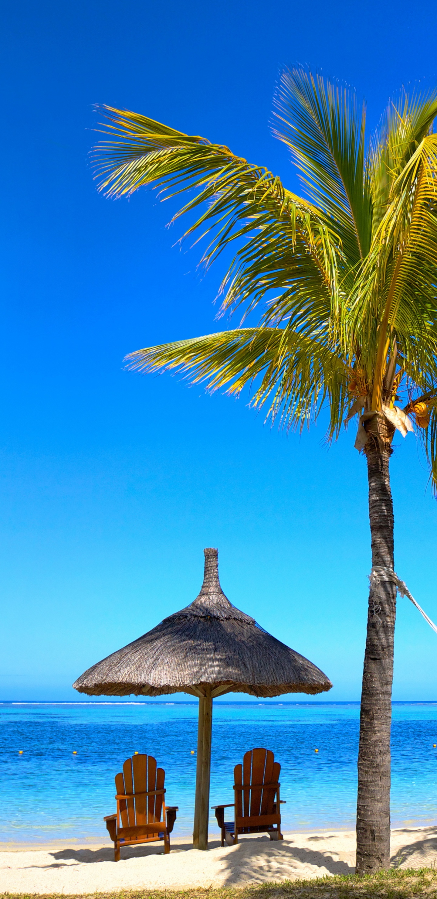 Brown Wooden Beach Lounge Chair on Beach During Daytime. Wallpaper in 1440x2960 Resolution