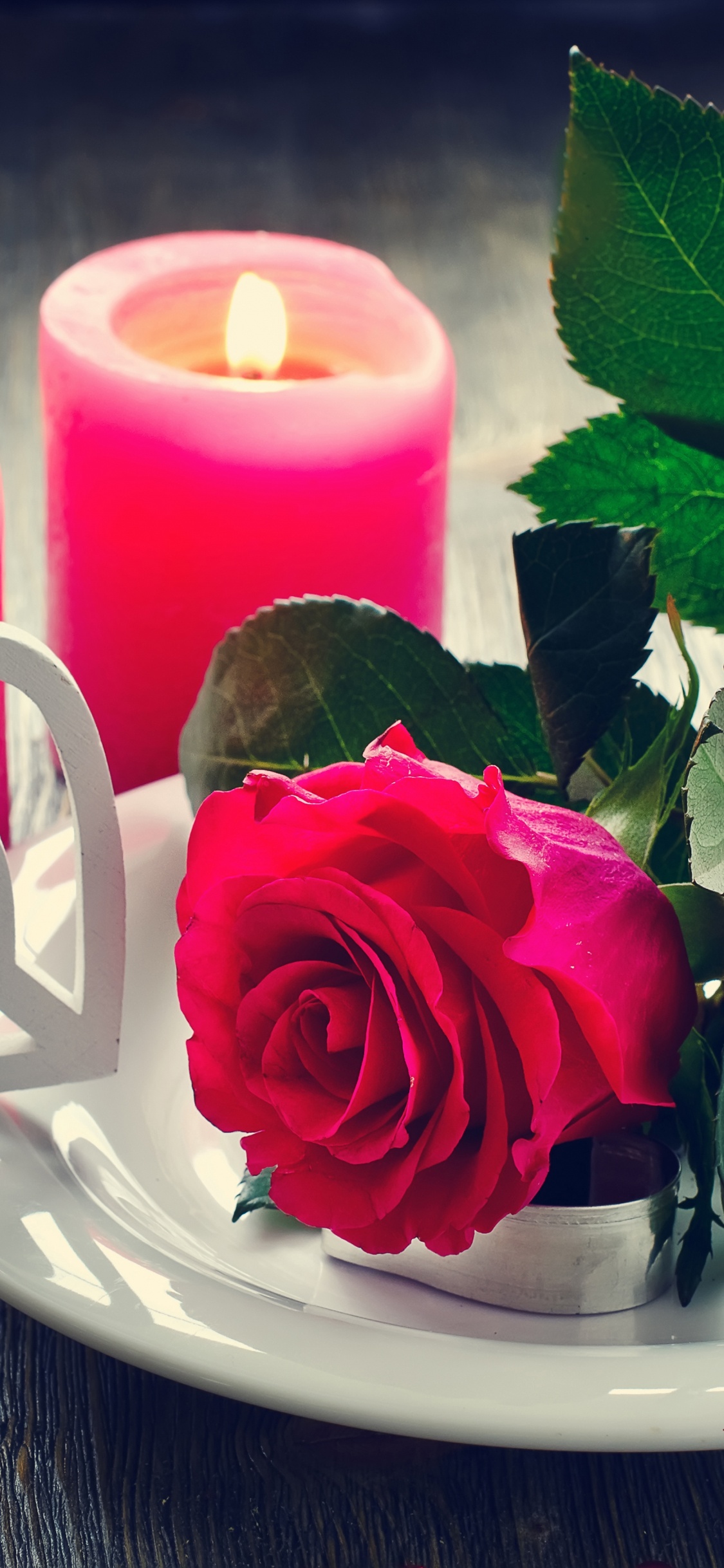 Flower, Candle, Rose, Lighting, Centrepiece. Wallpaper in 1125x2436 Resolution