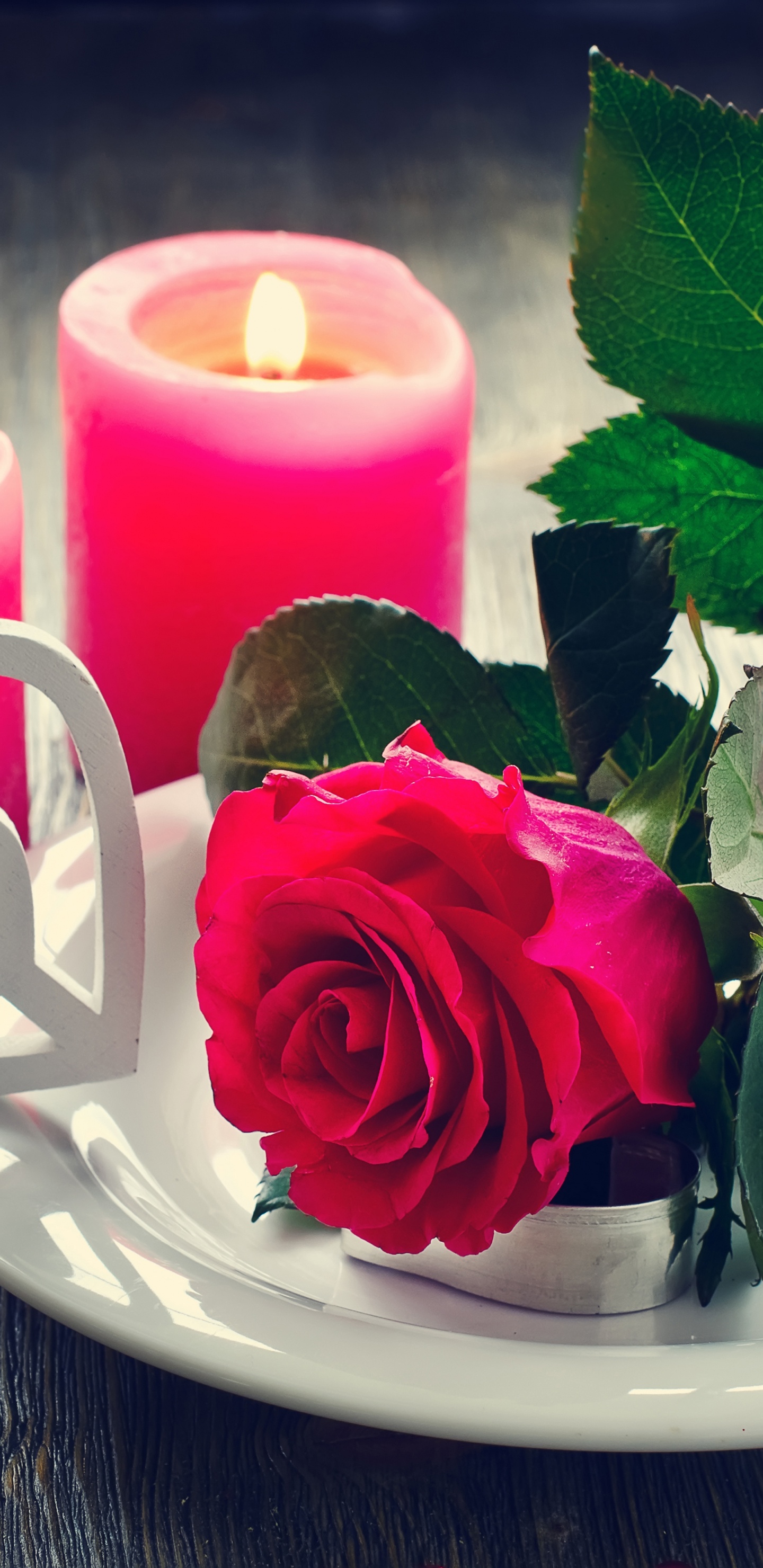 Flower, Candle, Rose, Lighting, Centrepiece. Wallpaper in 1440x2960 Resolution