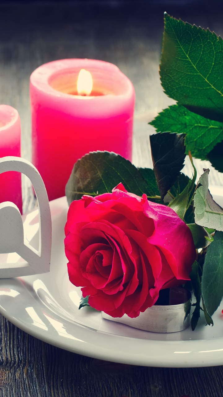 Flower, Candle, Rose, Lighting, Centrepiece. Wallpaper in 720x1280 Resolution