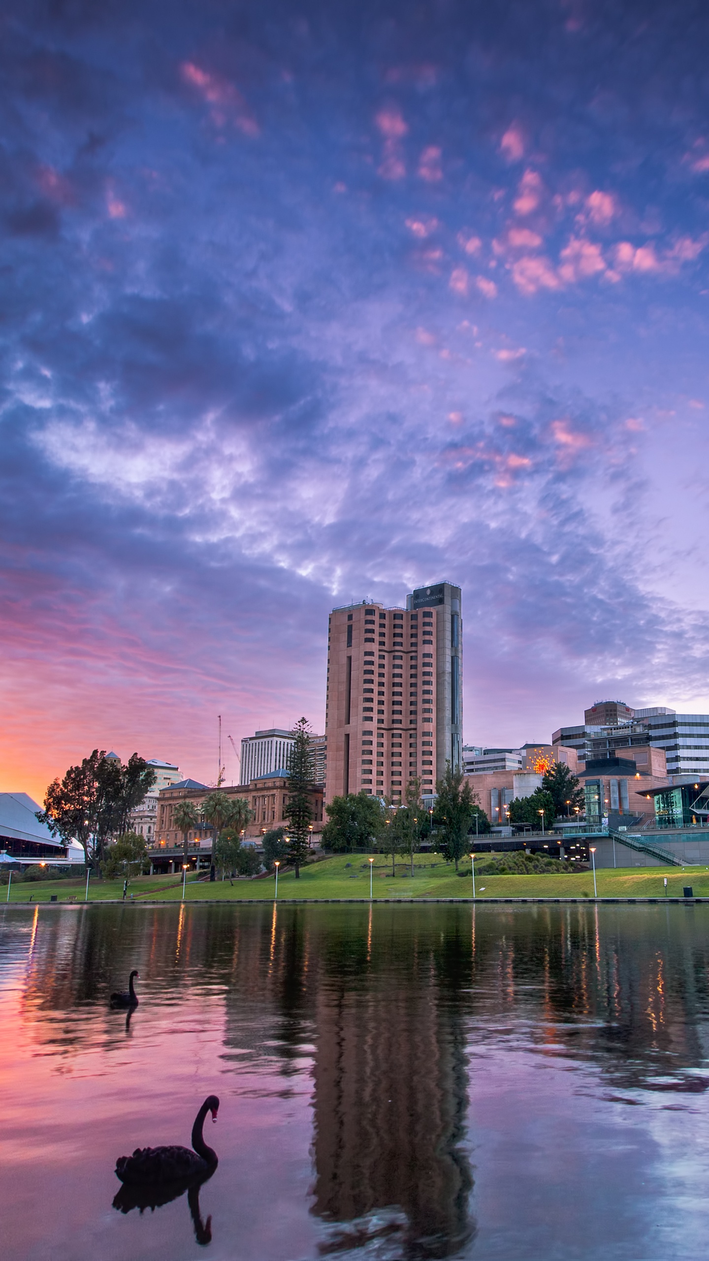 反射, 性质, 城市, 城市景观, 里程碑 壁纸 1440x2560 允许