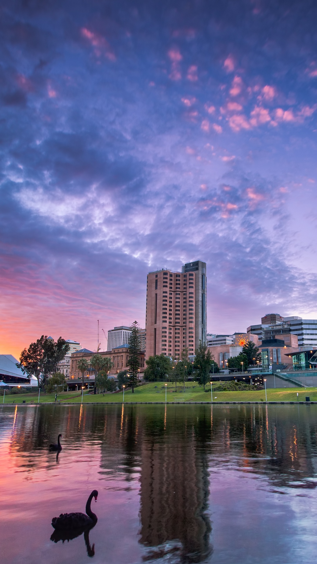 Body of Water Near City Buildings During Night Time. Wallpaper in 1080x1920 Resolution
