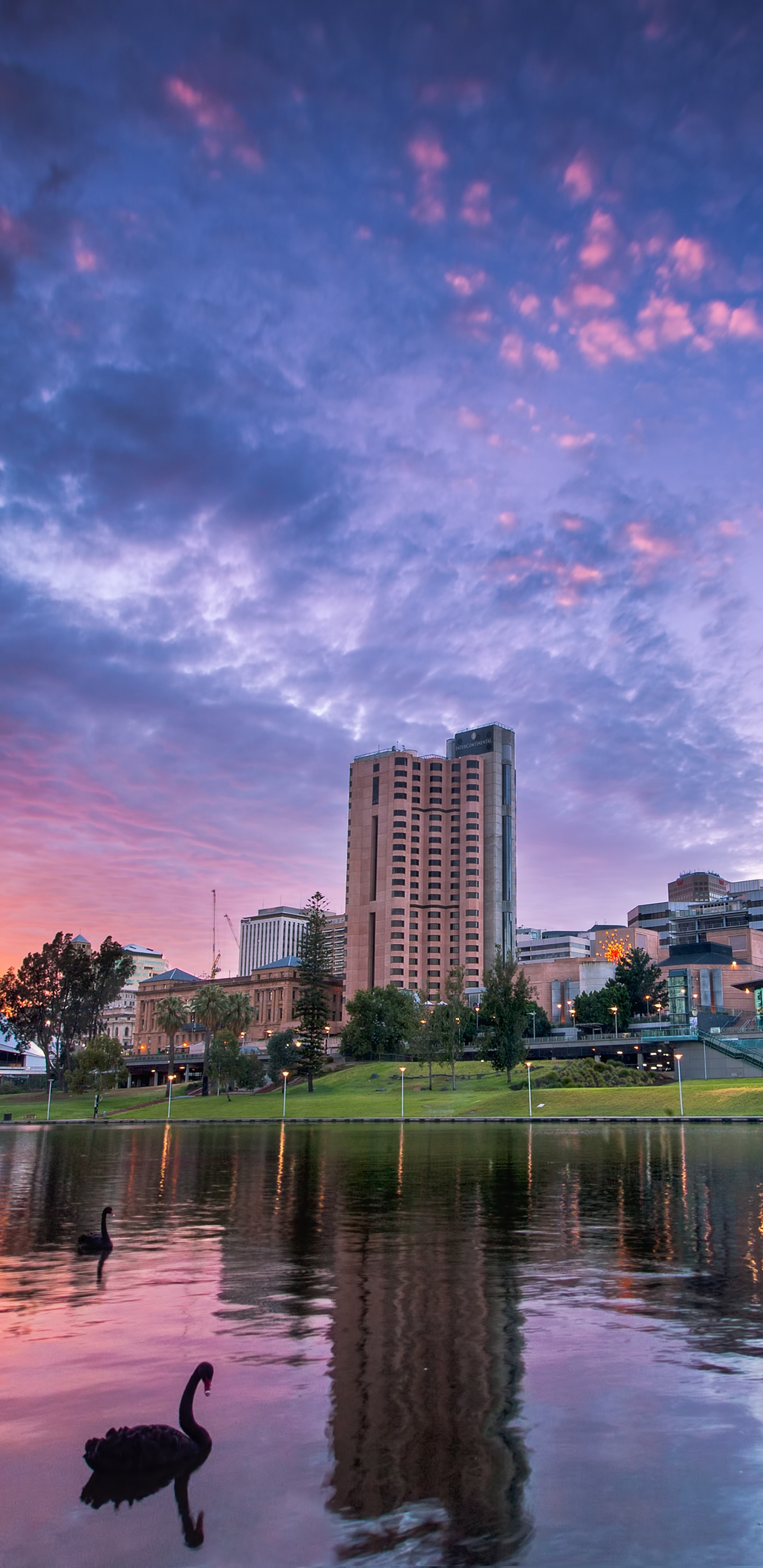 Plan D'eau Près Des Bâtiments de la Ville Pendant la Nuit. Wallpaper in 1440x2960 Resolution
