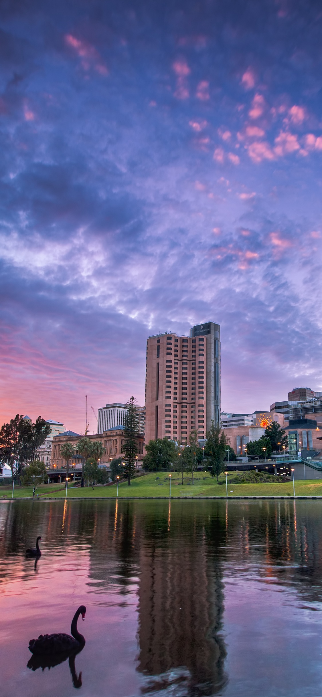 Gewässer in Der Nähe Von Stadtgebäuden Während Der Nacht. Wallpaper in 1125x2436 Resolution