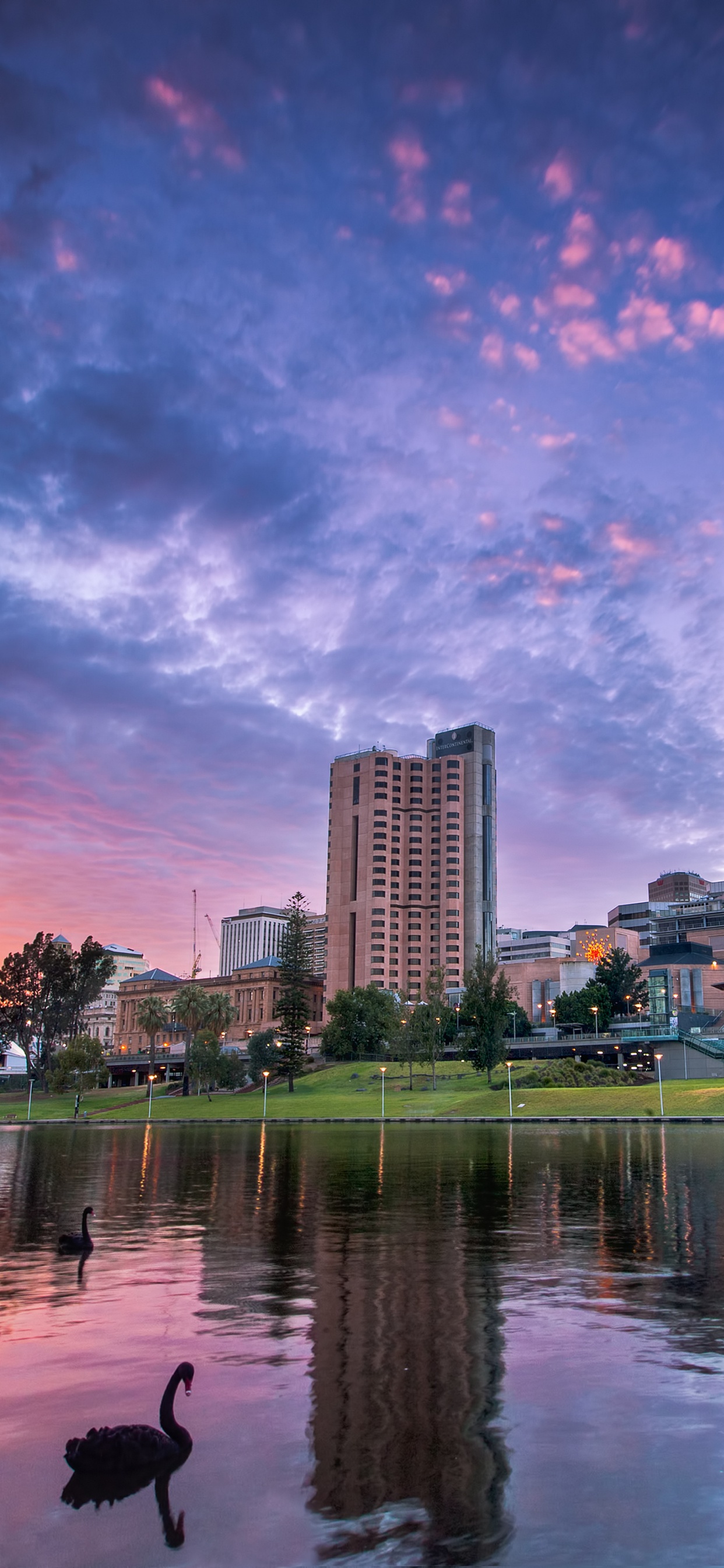 Gewässer in Der Nähe Von Stadtgebäuden Während Der Nacht. Wallpaper in 1242x2688 Resolution