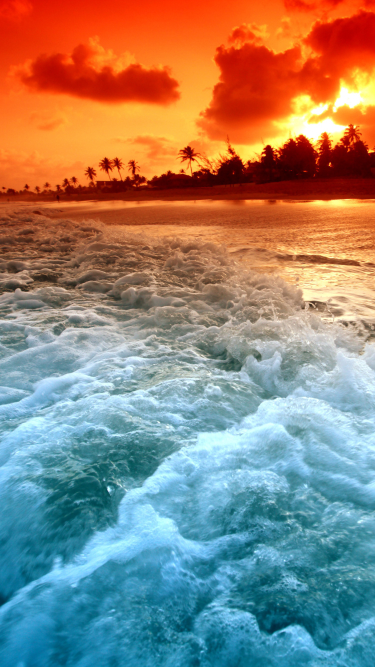 性质, 大海, 自然景观, 海洋, 地平线 壁纸 750x1334 允许