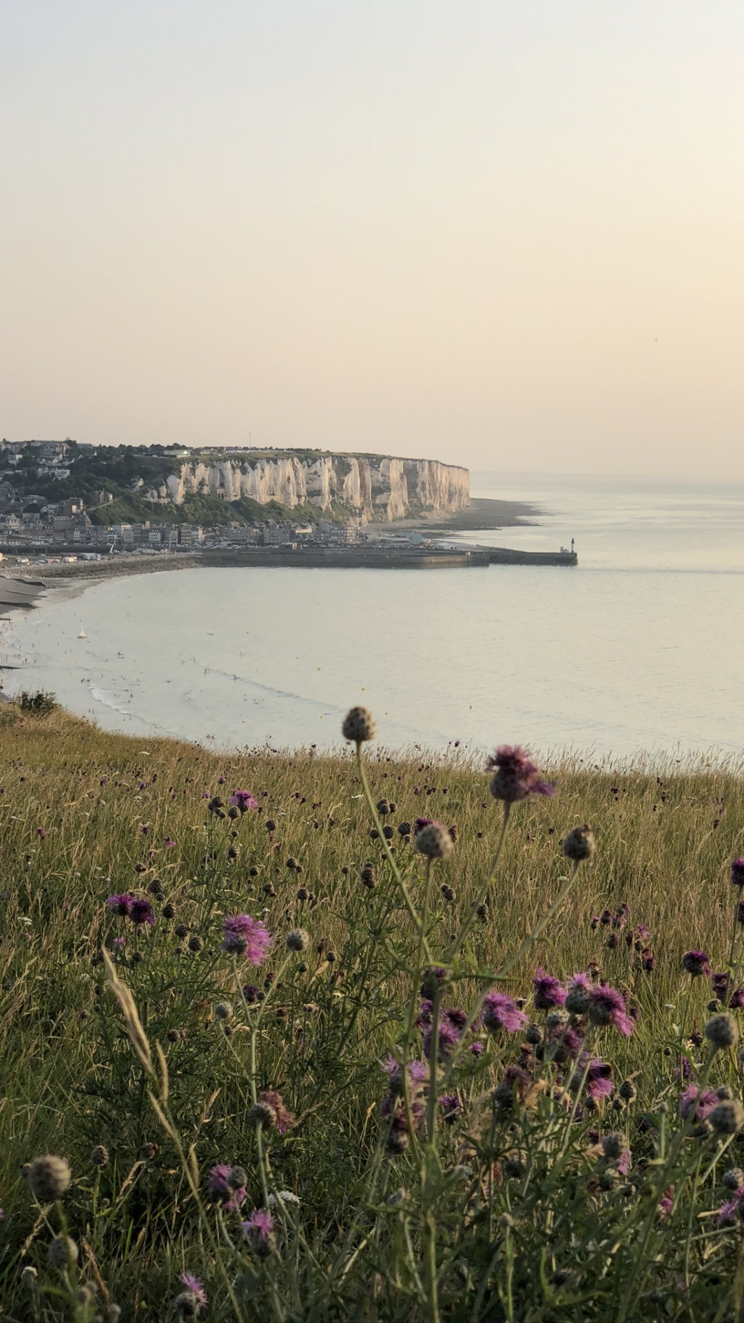 Coast, Body of Water, Natural Environment, Shore, Flower. Wallpaper in 1080x1920 Resolution