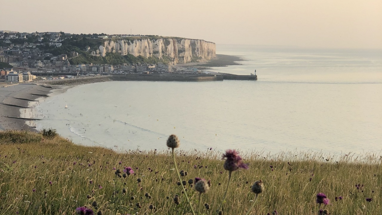 Coast, Body of Water, Natural Environment, Shore, Flower. Wallpaper in 1280x720 Resolution