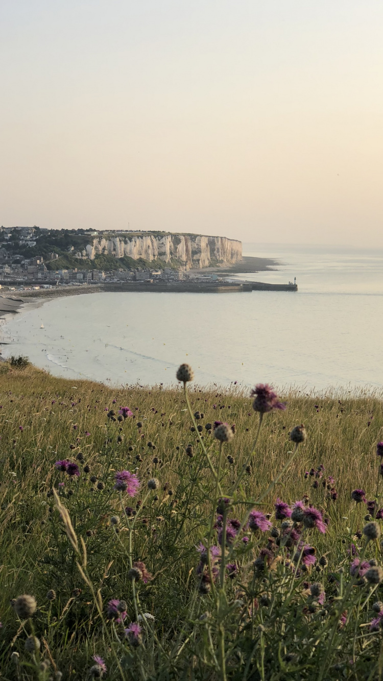 海岸, 人体内的水, 自然环境, 岸边, 银行 壁纸 750x1334 允许