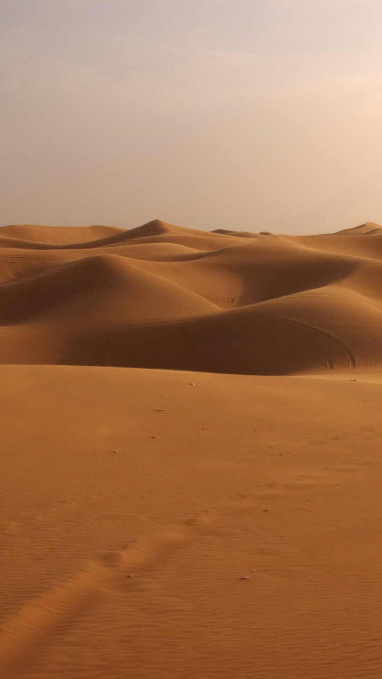 Weißer Schneebedeckter Berg Tagsüber. Wallpaper in 750x1334 Resolution