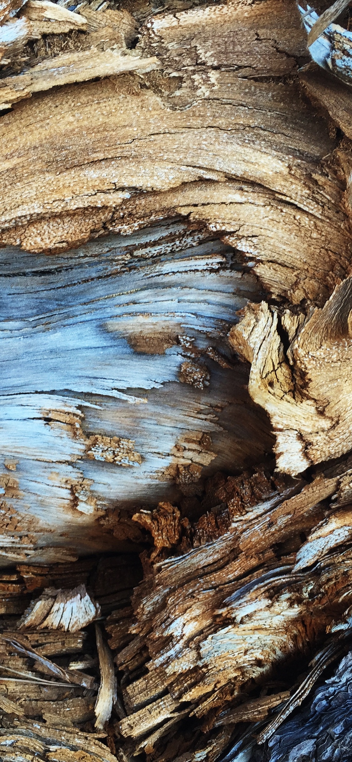 Braune Und Graue Felsformation. Wallpaper in 1125x2436 Resolution